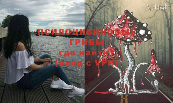 индика Верхнеуральск