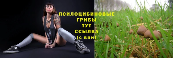 круглые Бородино