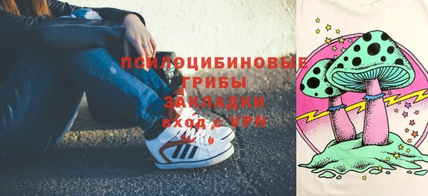 бошки Верхний Тагил