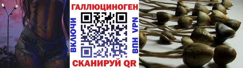 где продают наркотики  Шахты  Псилоцибиновые грибы GOLDEN TEACHER 